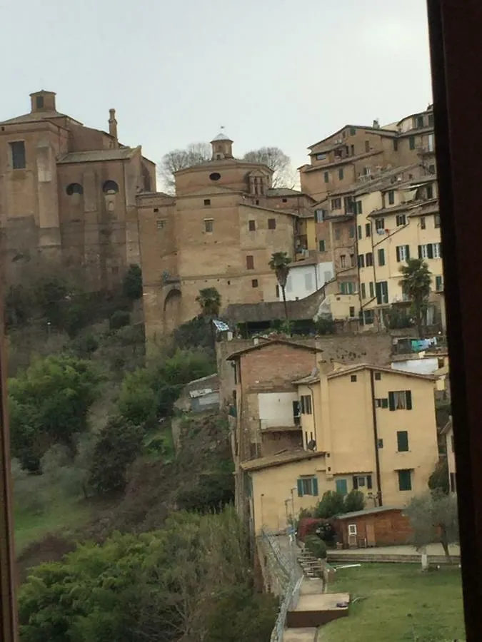 Salicotto 56 Hotel Siena Guest house